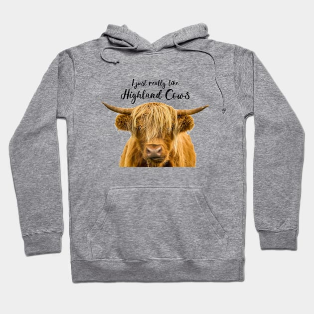 I Just Really Like Highland Cows Hoodie by Jane Stanley Photography